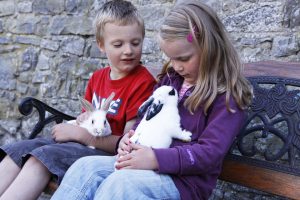 Cuddling baby rabbits on the Pet Farm